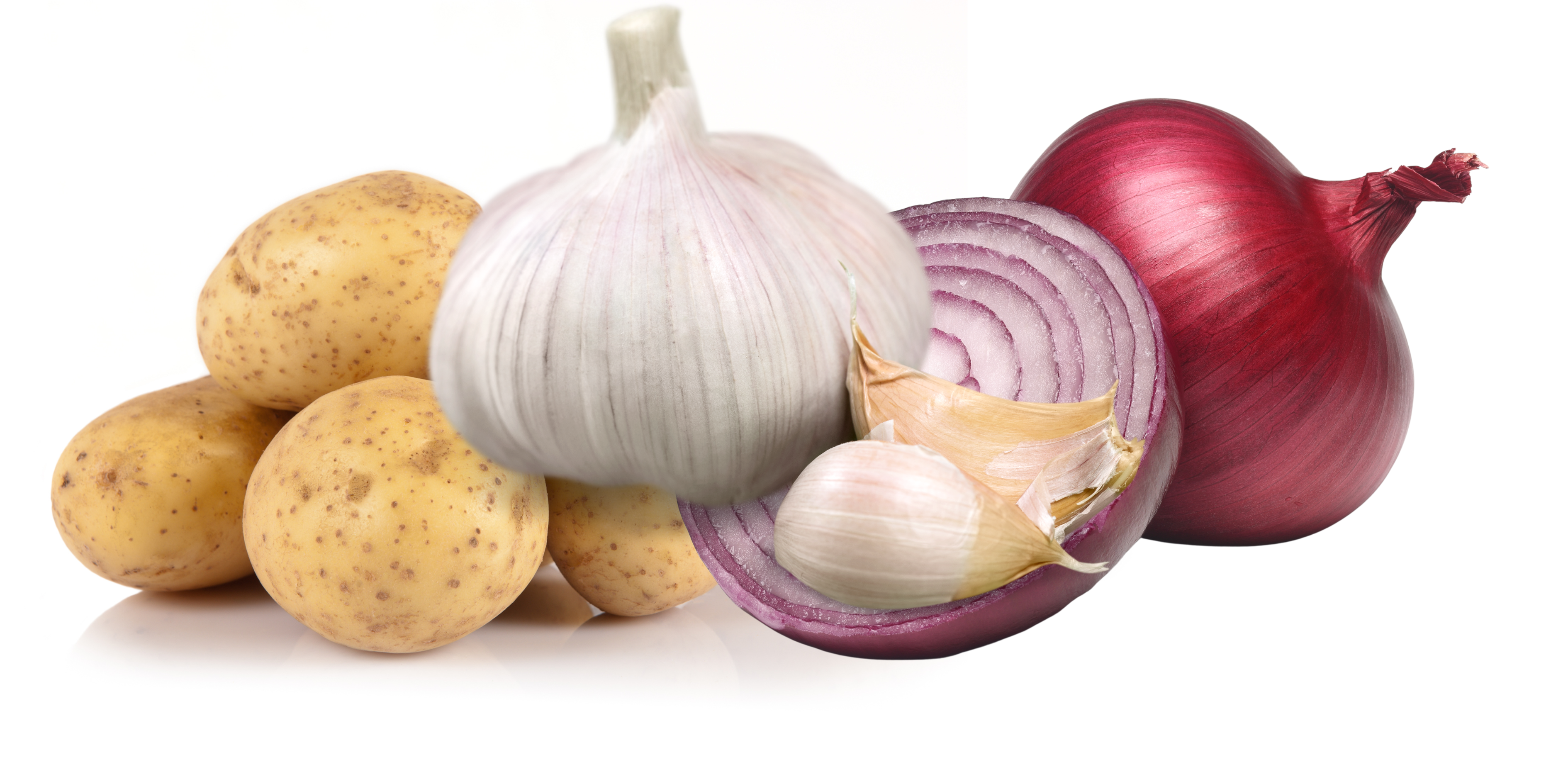 Beige and Brown Illustrated Coming Soon Banner (1).png